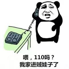 九、 猴子戏耍——猴年与西方星座双子座的互补关系