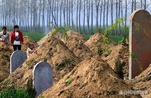 一、 为什么非要迁坟？（你以为是搬家？）