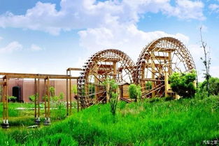 淀湖路奇幻漂流记：一个倒霉蛋的自我救赎