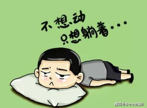 那些让人又爱又恨的懒鬼生肖