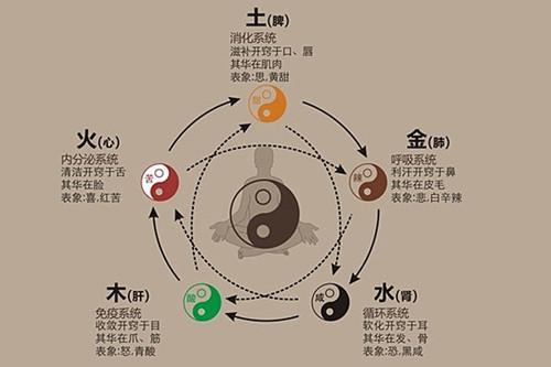 一、 “金”的躁动：肺与较大肠的困境