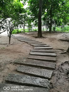 青石板路：时间的足迹