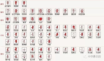先说说都姓的基础：笔画与气质
