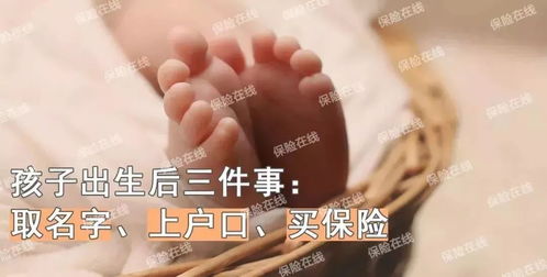 大海水命女人适合从事什么行业或生意？