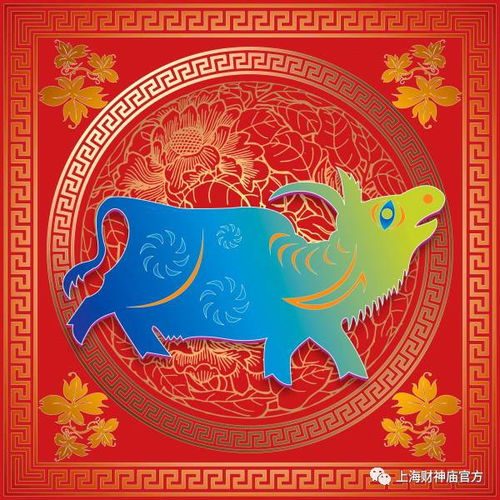 2019和2026年帝师十二生肖运势详解分别是什么？
