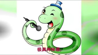 蛇的生肖代号是什么意思，这的是什么？