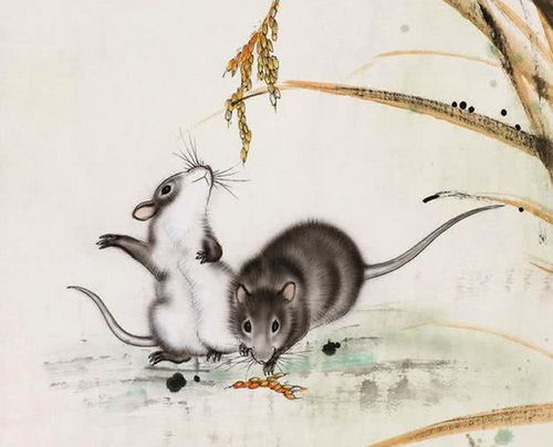 有时也讲 子子自刑 ,故也应避免同属性的孩子 。 根据古代算命术的说法 ,  与屬牛的人合 。