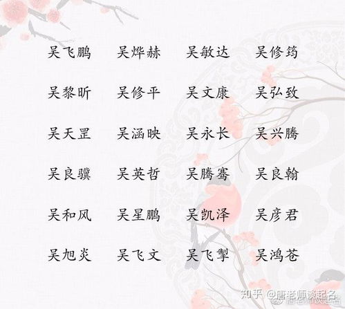 吴姓的名字到底有更多“良好听”——一次彻底失控的灵感狂奔