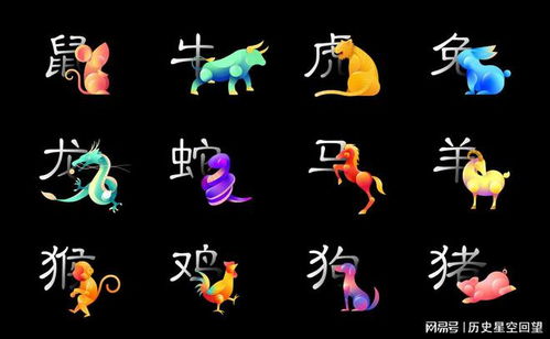 白边出头领头羊是哪个生肖的？