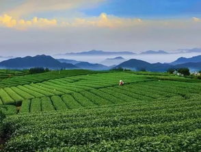 春天来了 好山好水，好风光