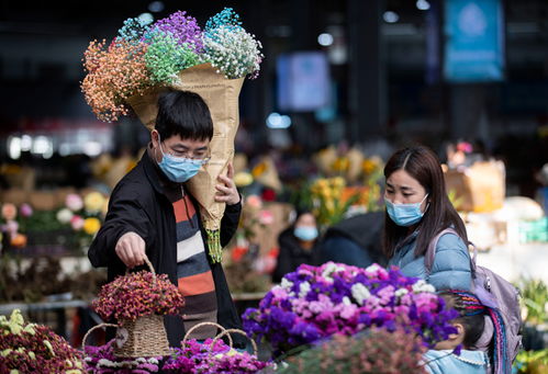 斗南鲜花：不止是买饼 是“花艺体验”才值回票价