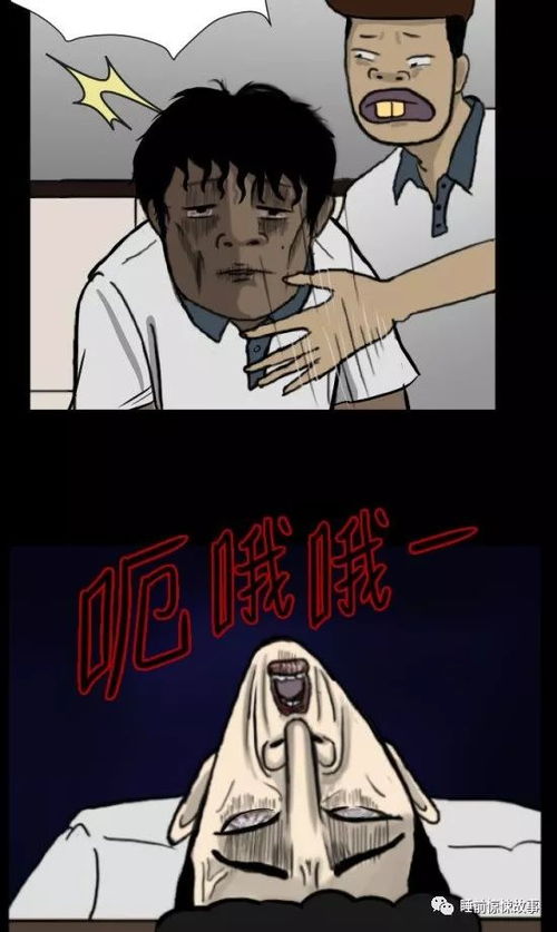 第四章：生肖相冲的悲剧宿命