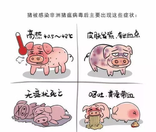得怪病是风水不好吗怎么办,得怪病是风水不好吗