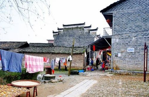 2. 紫金南母仙茶茶场——茶叶里的“间谍”