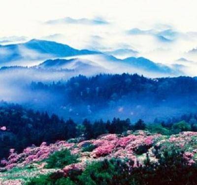 一、探寻较大田之美：春日里的一抹清崭新（啊，感觉有点老套，但真实的，真实的美！）
