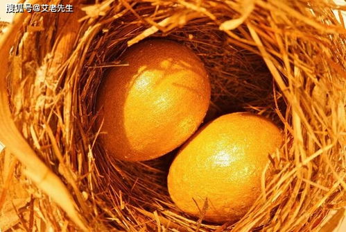 蒜苗炒鸡蛋：清脆可口还是口臭熏天？