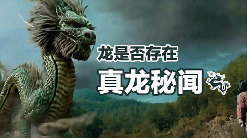  —— 给“项瑞龙”换名，那是一场心灵与文字的碰撞！🌟🌟🌟(不要遗忘加上随机emoji和乱码，让它更真实实)