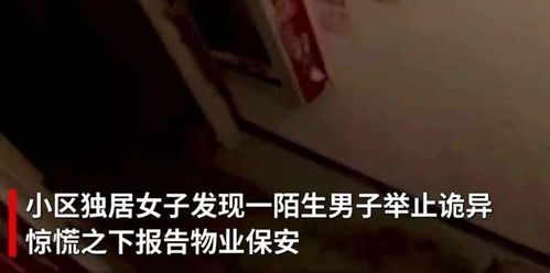 寻求说明白