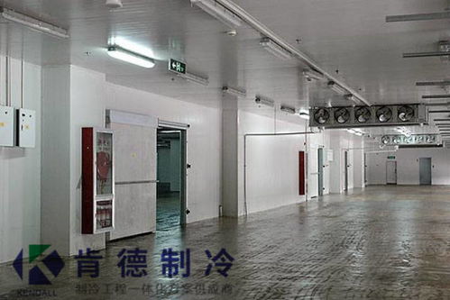 肉联厂冷库直供区（乱入）