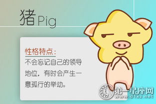 星座大乱斗：意想不到的绝配