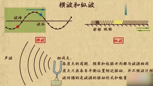 ：惯与“腰窝”那些难以言说的秘密