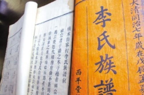 一些（可能）不错的选择