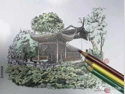 老师们的尴尬表情
