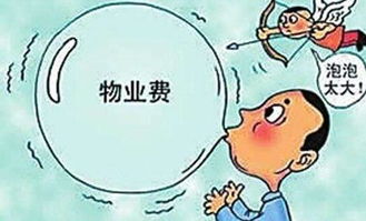 生肖相冲的隐患
