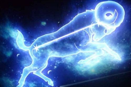 床上那些事儿：火焰山遇上南极洲