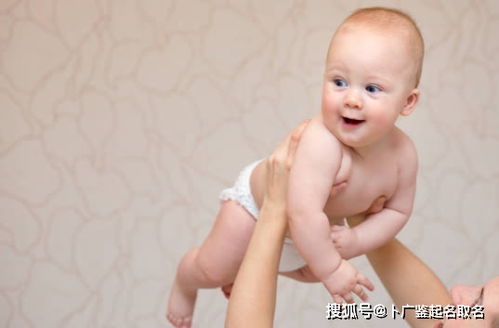 精选热姓男宝宝名字，如何传承文化之美？