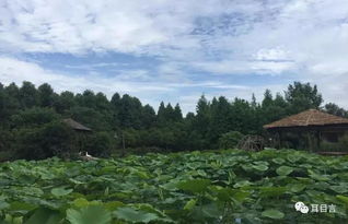 1. 成都欢乐谷， 尖叫吧，家长们