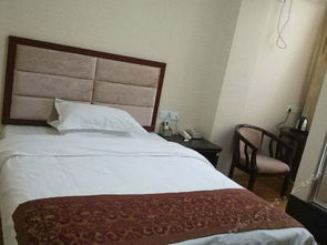 预订假期的噩梦：价格查询的残酷真相