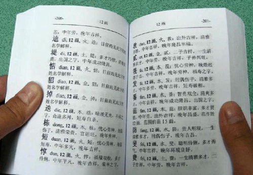 第一章：为哪些我们要追求“品牌感”
