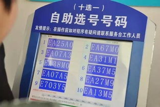 如何通过免费小程序查询车牌号吉凶？
