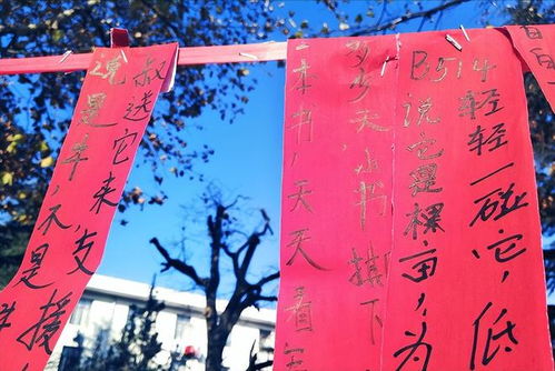 二月初六作为吉日，今天初六是否适宜进行重要活动或庆典？