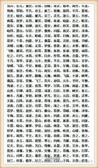 为哪些全部人都在用当前这个字？
