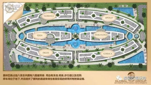 #冲刺路线 #— 滨海路 + 金石滩 + 森林动物园