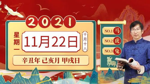 2025年11月8日吉日：今日宜出行，特吉生肖兔