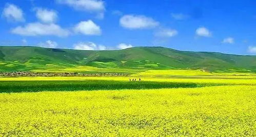热门地点推荐：经典路线这样玩才够味