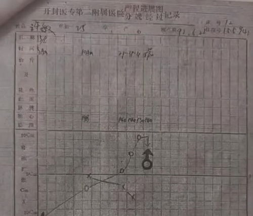 1972年出生，同一家医院出生的八字，有何特别之处？