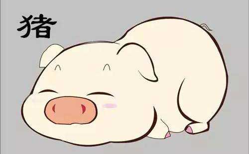 命运的起伏：从坎坷到绽放