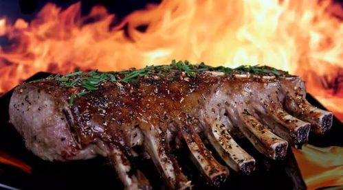 夏天=烤肉模式开启