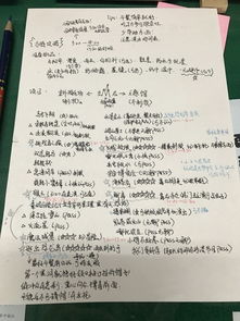 被攻略毁掉的人生