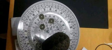 玄空派风水的主要内容,玄空派风水的主要内容