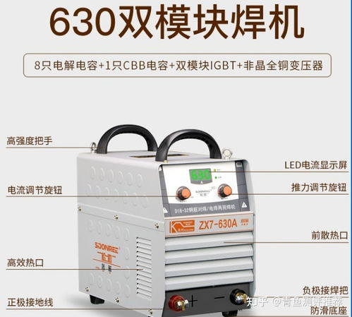 四、 黑马崭新锐：后来居上的风云人物