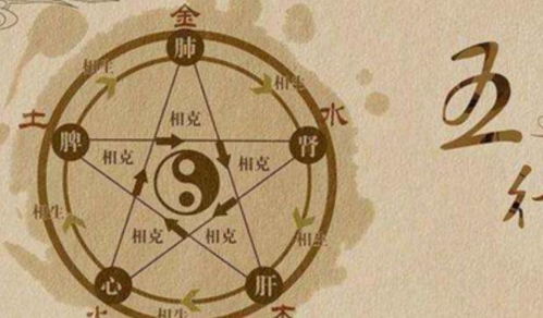 二、 五行八字随手抓——不一定准，但随便玩玩呗