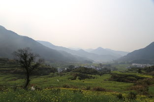 1. 景区简介