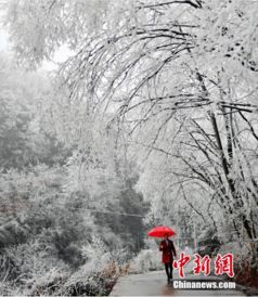 银装素裹，冬日童话——二月降雪后的古城奇迹。