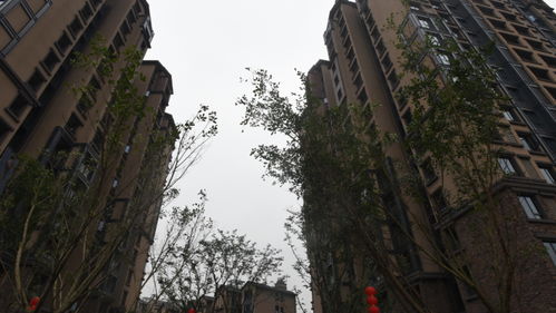 重庆远洋九公子楼盘怎样,重庆远洋九公子风水