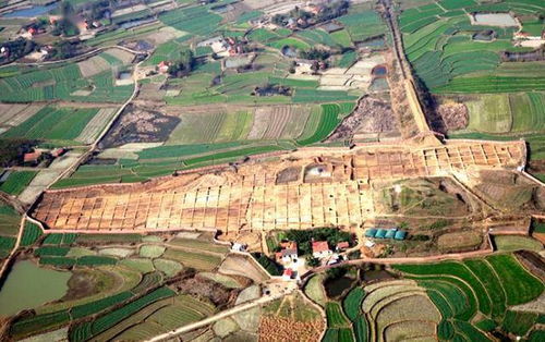 4. 楚王车马阵景区